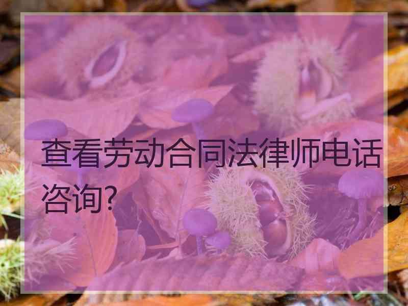 查看劳动合同法律师电话咨询?