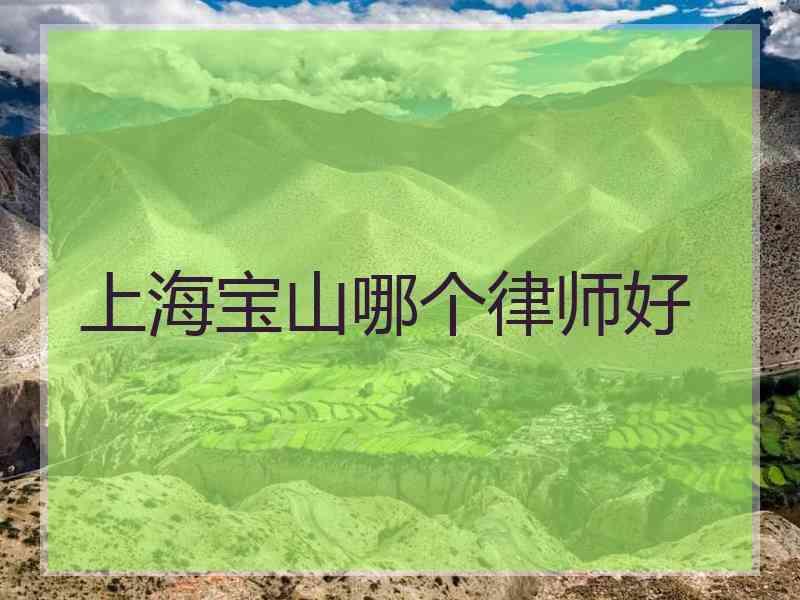 上海宝山哪个律师好