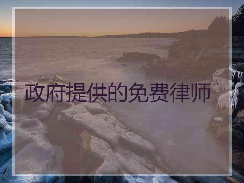 政府提供的免费律师