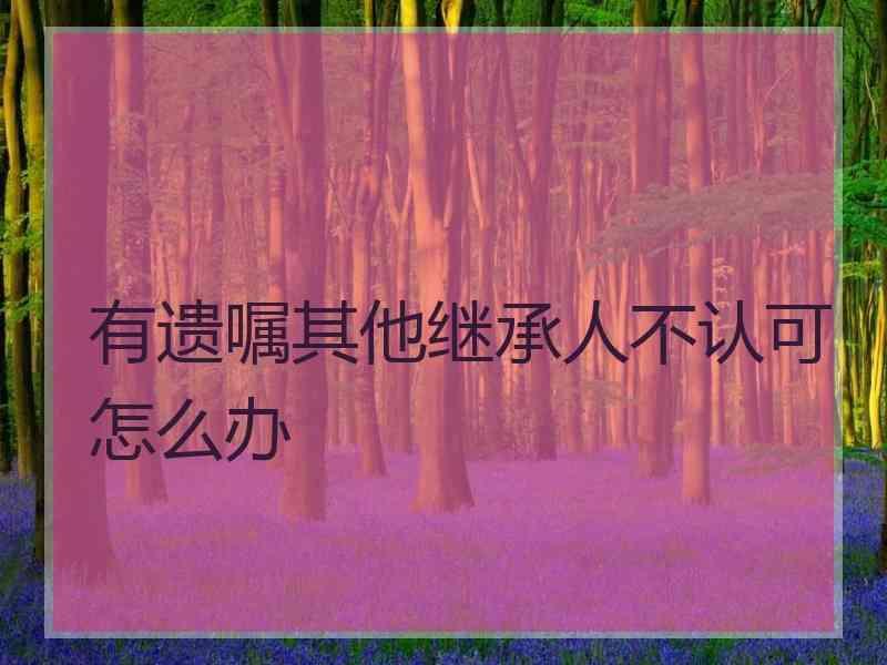 有遗嘱其他继承人不认可怎么办