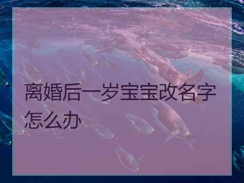 离婚后一岁宝宝改名字怎么办