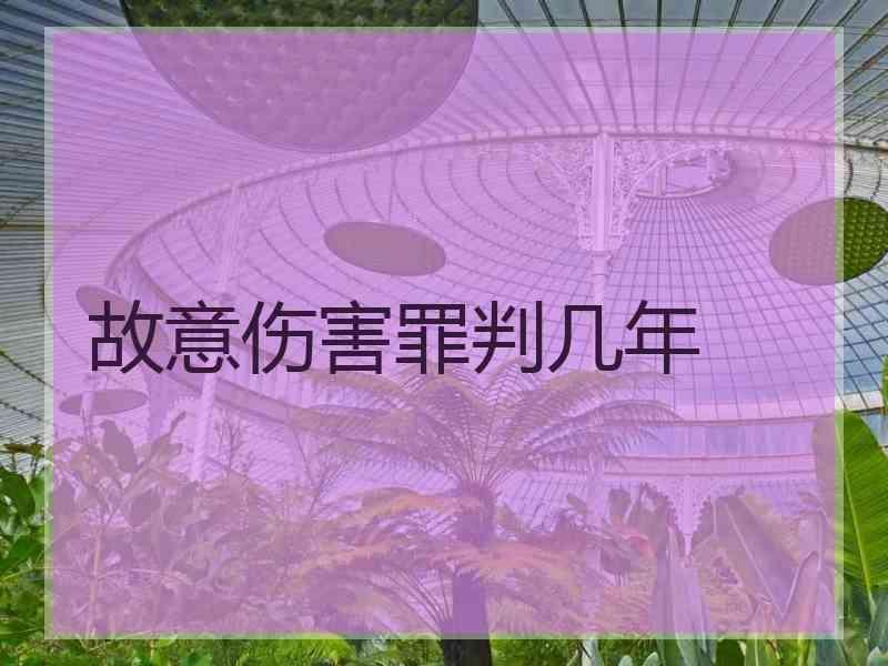 故意伤害罪判几年