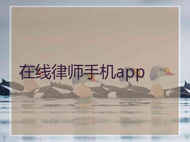 在线律师手机app