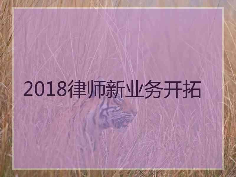 2018律师新业务开拓