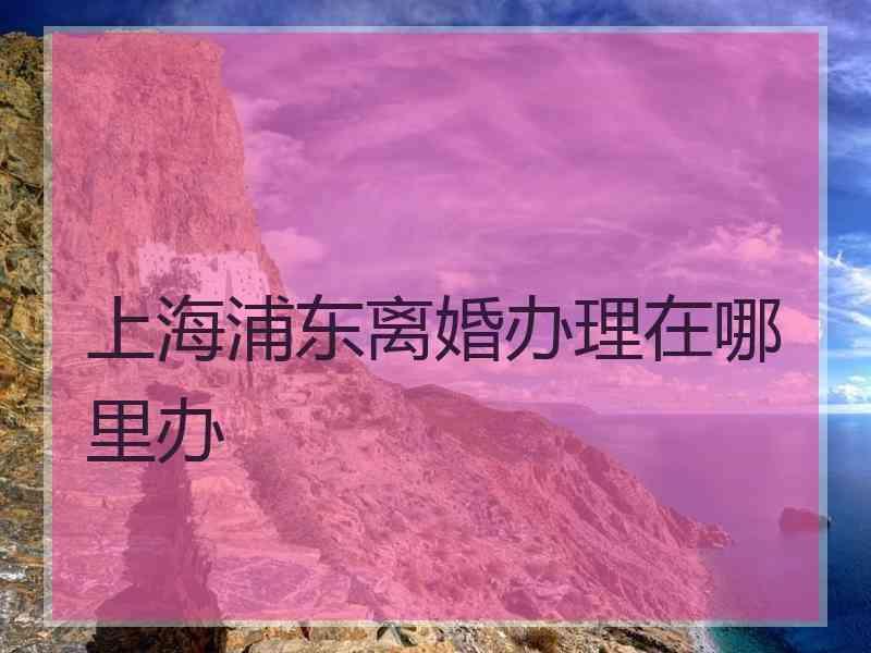 上海浦东离婚办理在哪里办