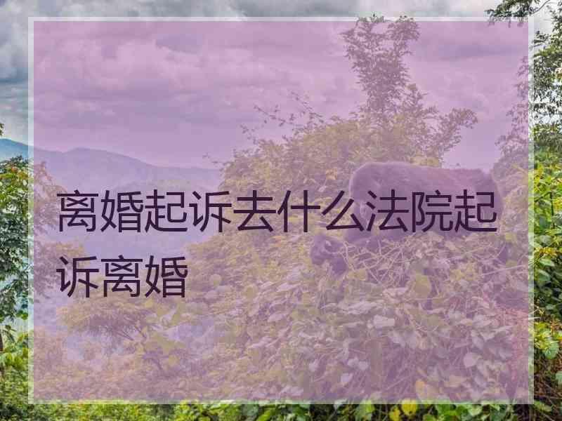 离婚起诉去什么法院起诉离婚