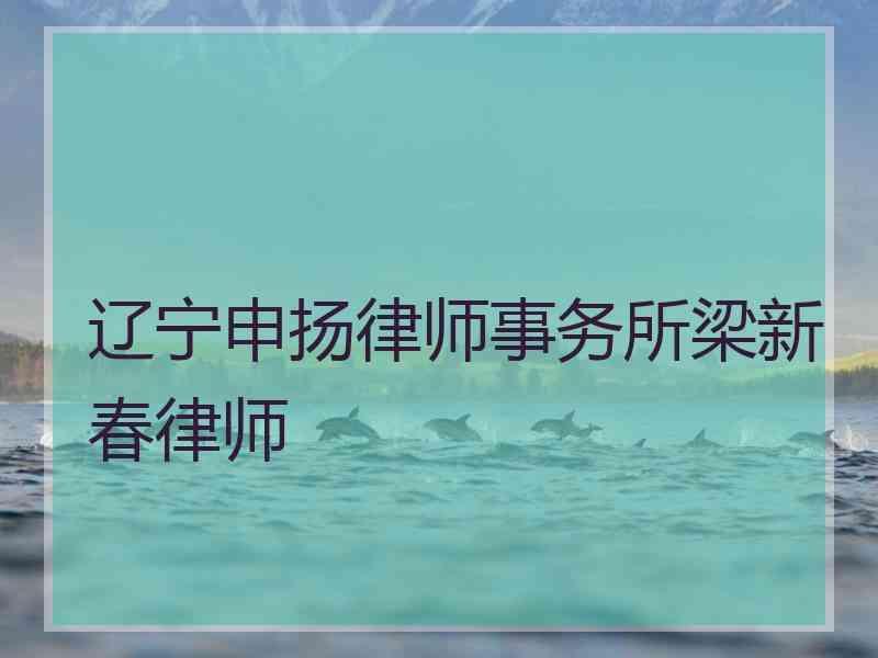 辽宁申扬律师事务所梁新春律师