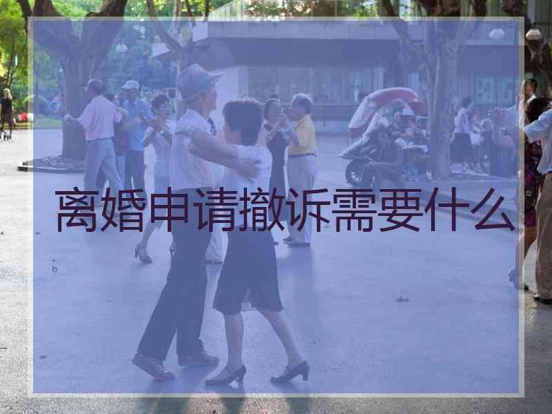 离婚申请撤诉需要什么