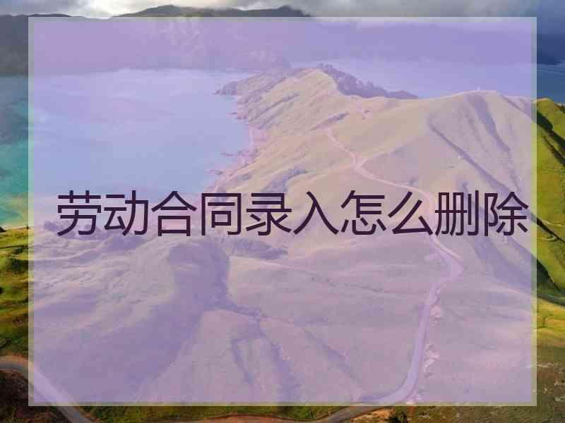 劳动合同录入怎么删除