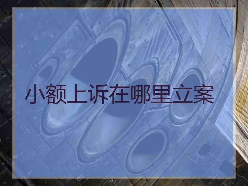小额上诉在哪里立案