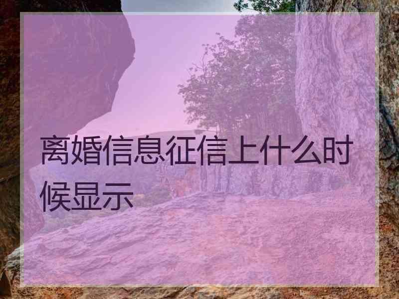 离婚信息征信上什么时候显示