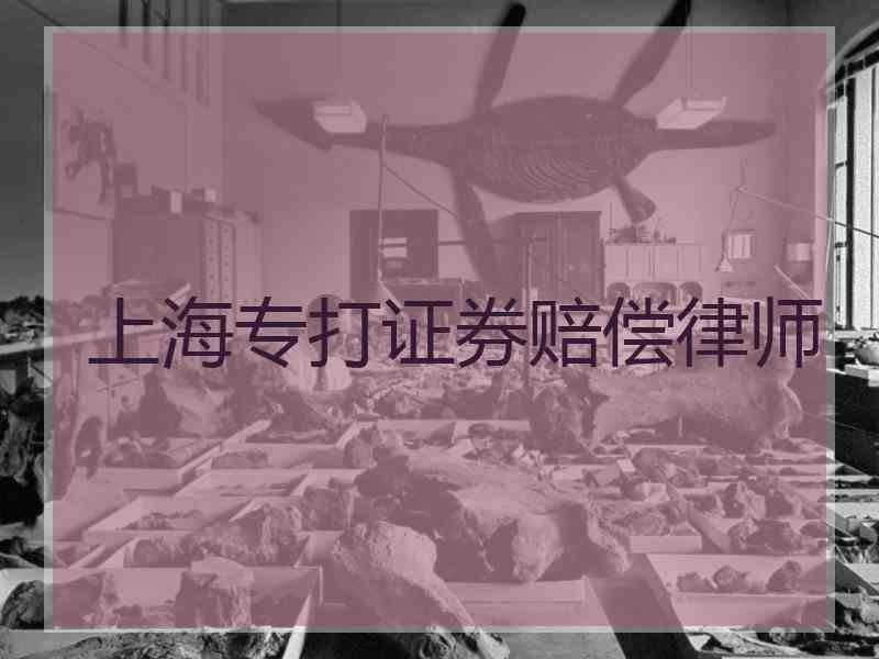 上海专打证券赔偿律师