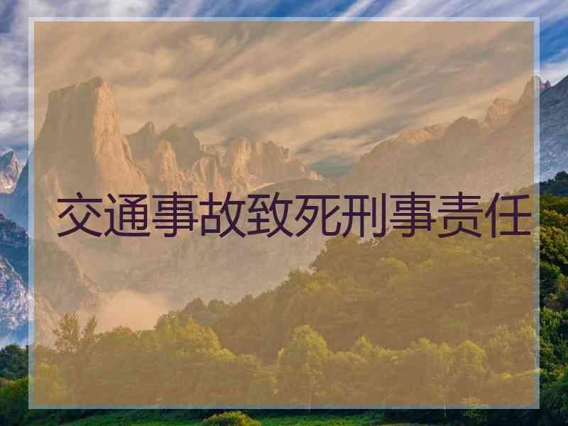 交通事故致死刑事责任
