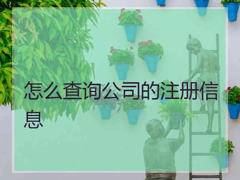 怎么查询公司的注册信息