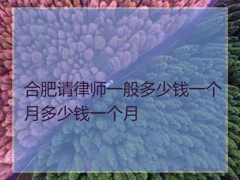 合肥请律师一般多少钱一个月多少钱一个月