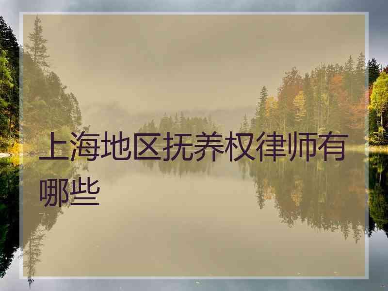 上海地区抚养权律师有哪些