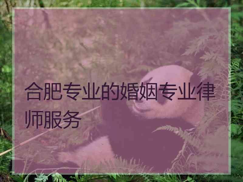 合肥专业的婚姻专业律师服务