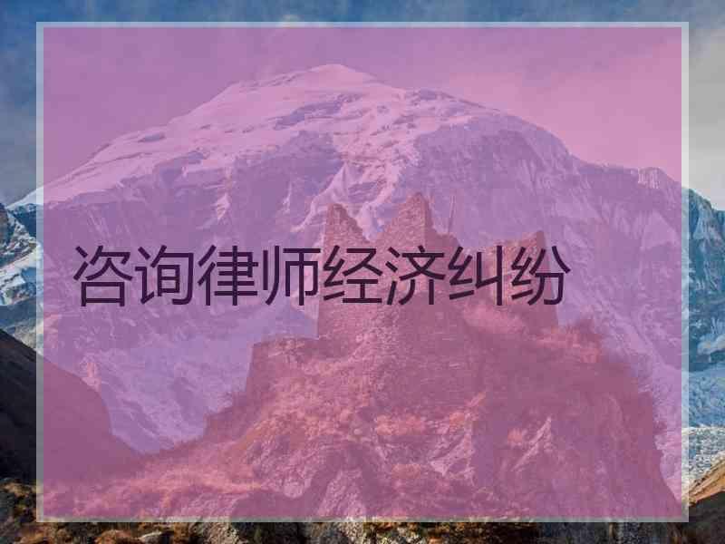 咨询律师经济纠纷