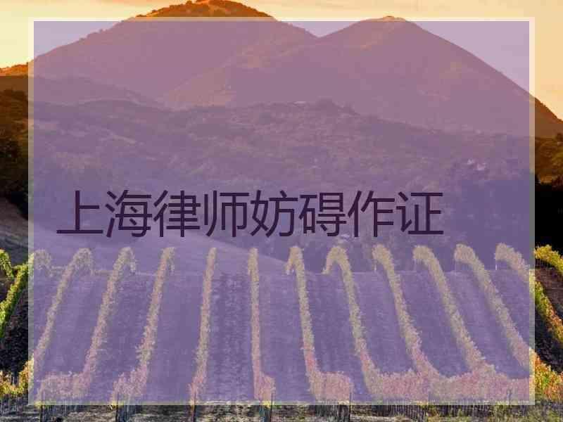 上海律师妨碍作证