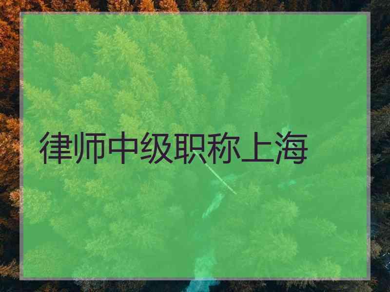 律师中级职称上海