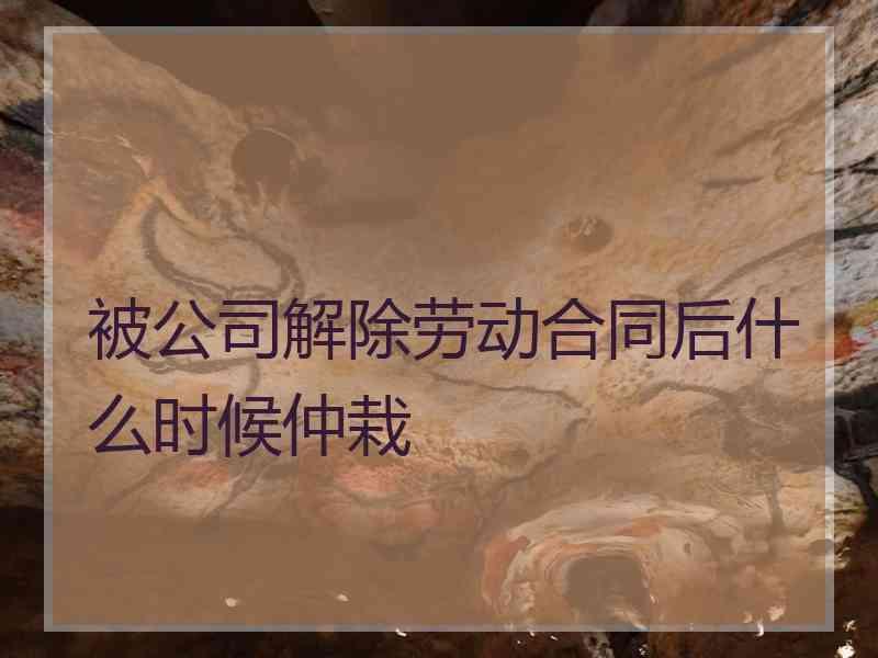 被公司解除劳动合同后什么时候仲栽