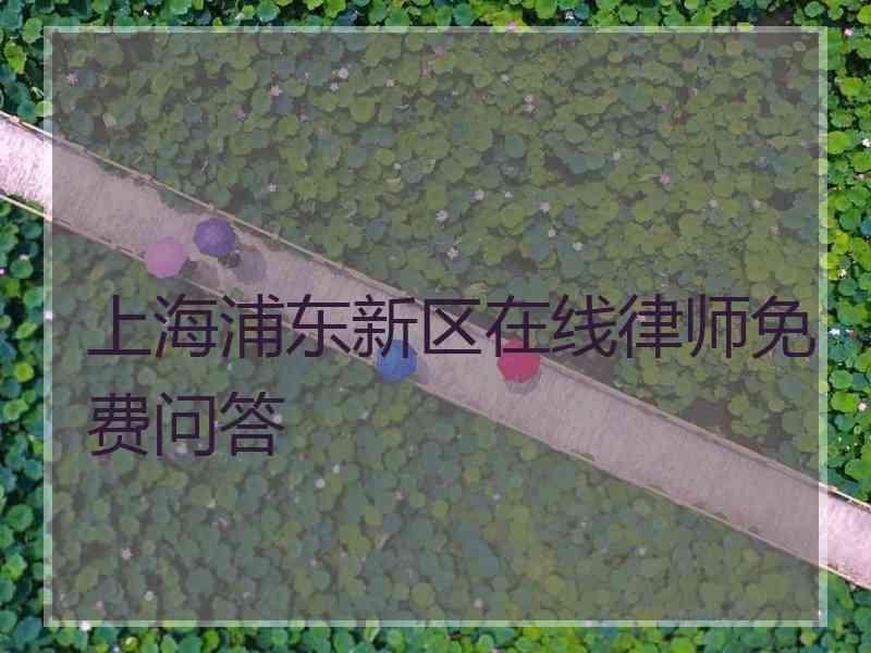 上海浦东新区在线律师免费问答