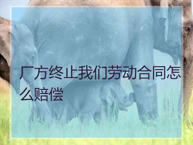 厂方终止我们劳动合同怎么赔偿