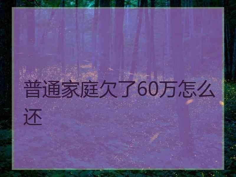 普通家庭欠了60万怎么还