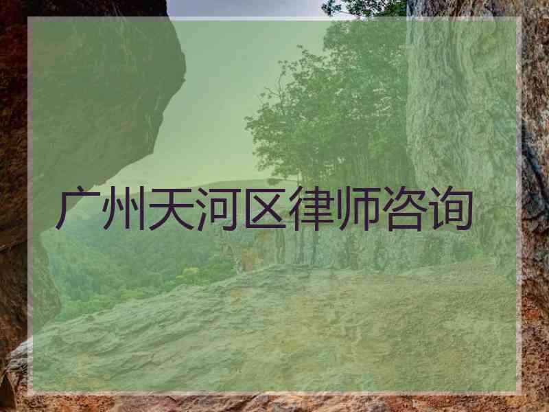 广州天河区律师咨询