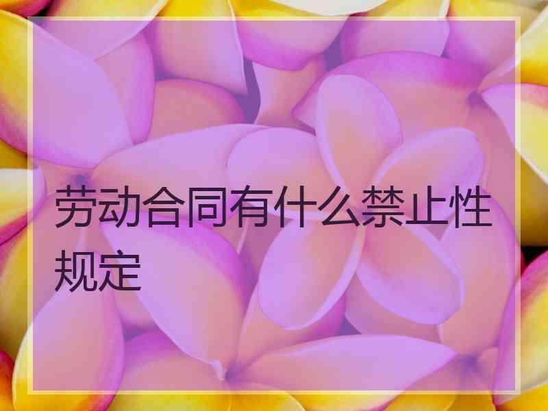 劳动合同有什么禁止性规定