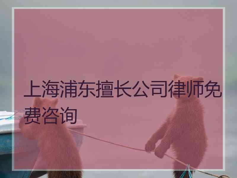 上海浦东擅长公司律师免费咨询