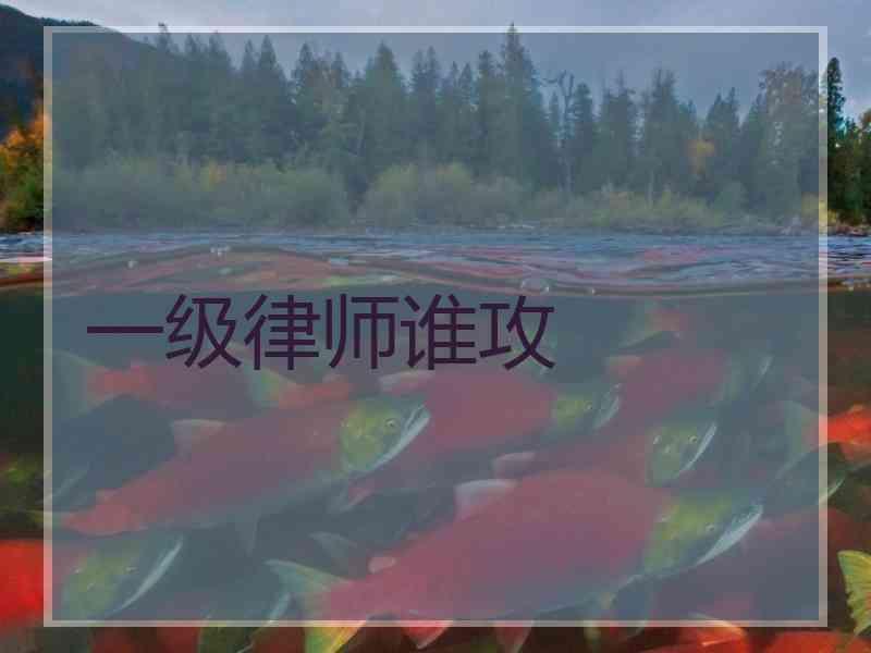 一级律师谁攻