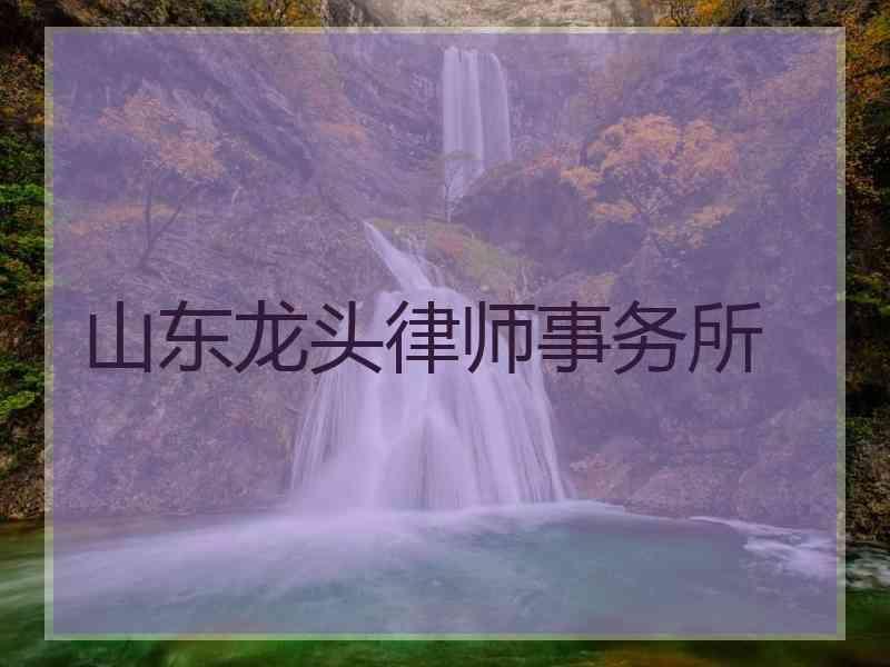 山东龙头律师事务所