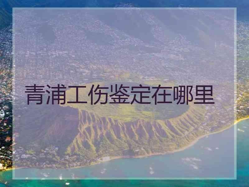 青浦工伤鉴定在哪里