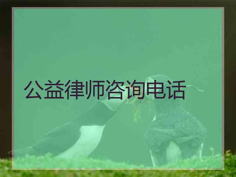 公益律师咨询电话