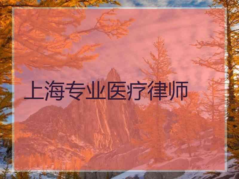 上海专业医疗律师