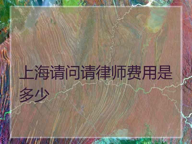 上海请问请律师费用是多少