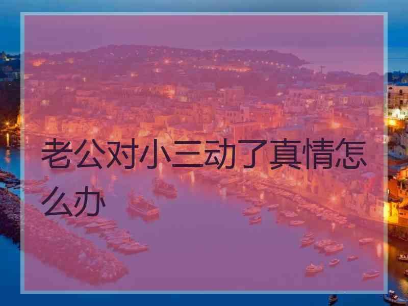 老公对小三动了真情怎么办