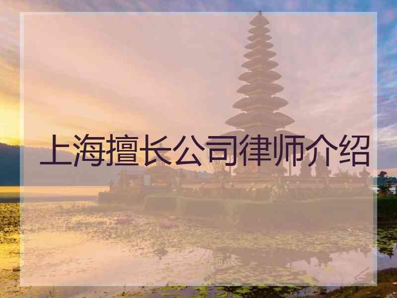 上海擅长公司律师介绍