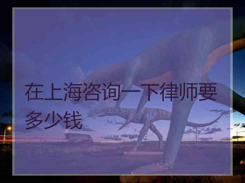 在上海咨询一下律师要多少钱