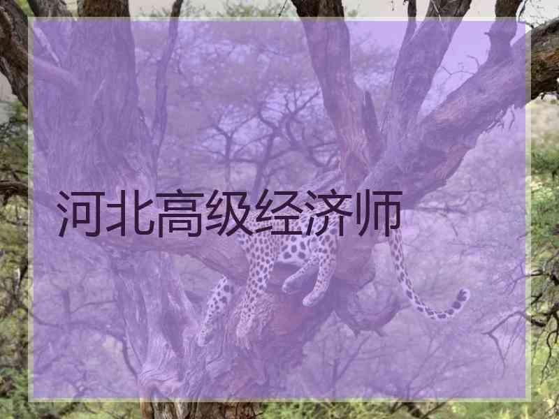 河北高级经济师