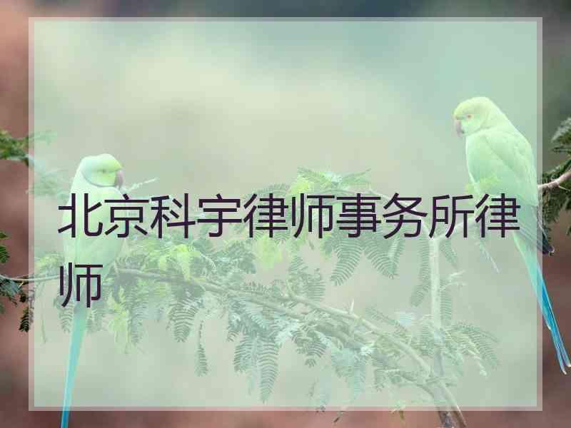 北京科宇律师事务所律师