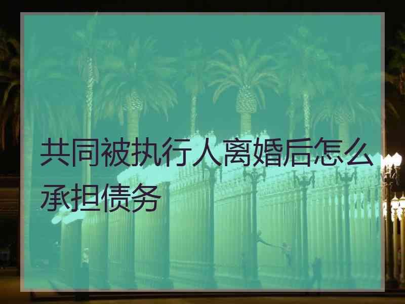 共同被执行人离婚后怎么承担债务