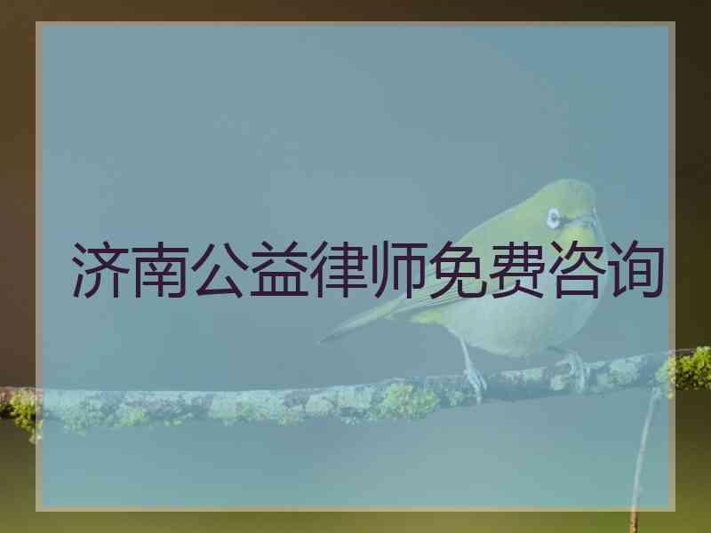 济南公益律师免费咨询