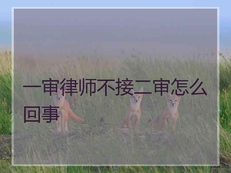 一审律师不接二审怎么回事