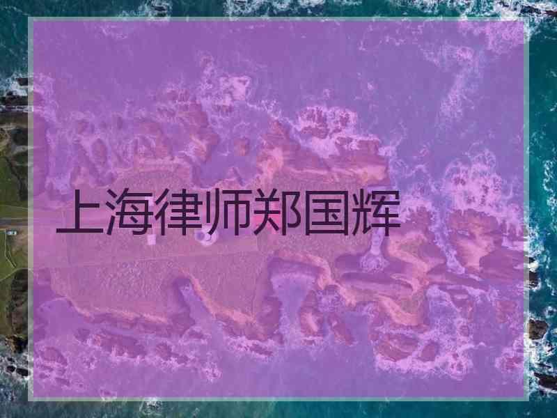 上海律师郑国辉