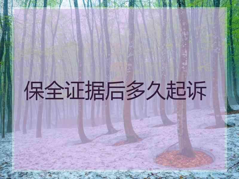 保全证据后多久起诉