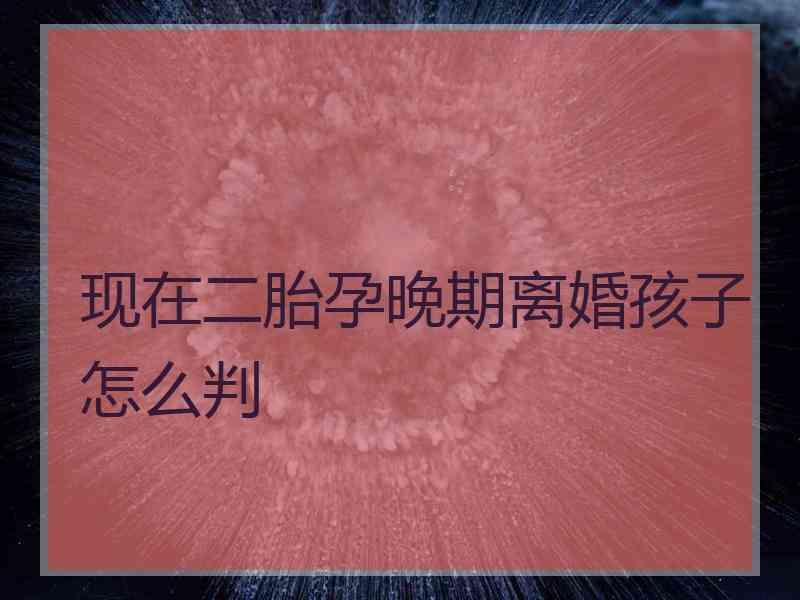 现在二胎孕晚期离婚孩子怎么判
