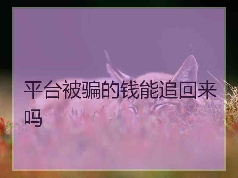 平台被骗的钱能追回来吗
