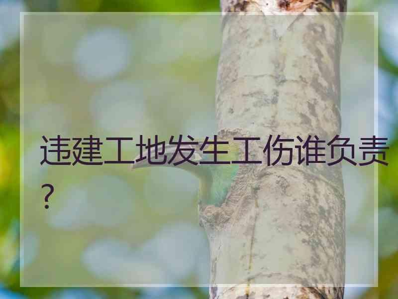 违建工地发生工伤谁负责?